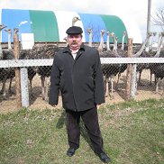 Виктор Терешин, 67 лет, Санкт-Петербург